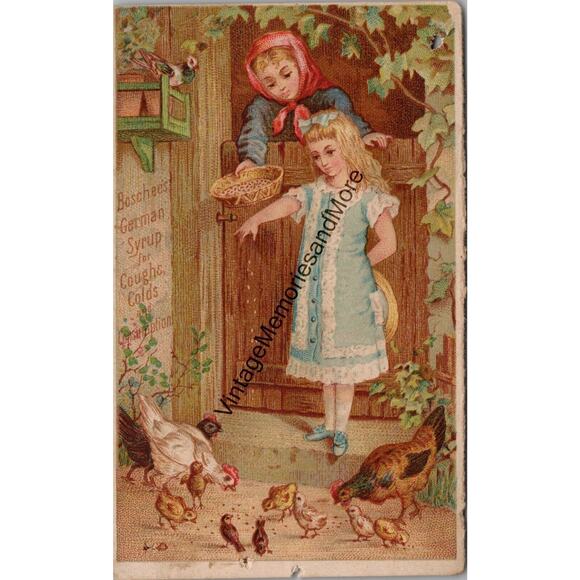 Vintage Boschee's German Syrup Advertising Trade Card PB23 - Picture 1 of 2